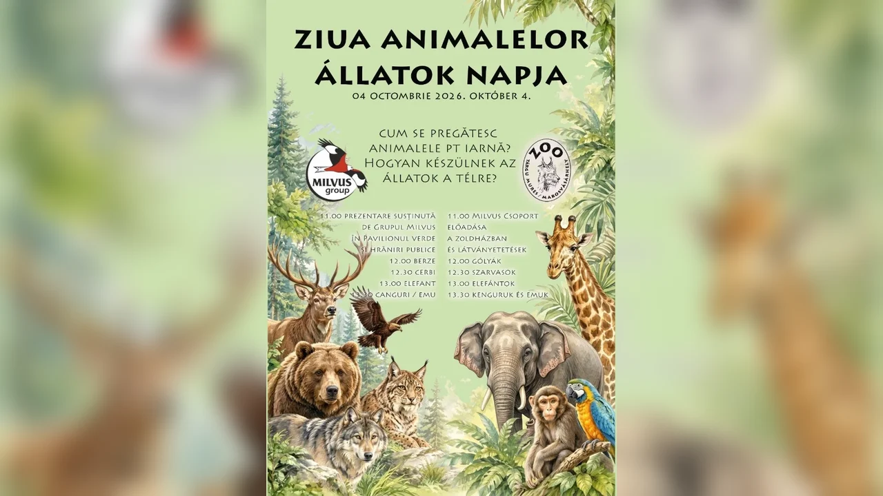 Zoo Târgu Mureș marchează Ziua Animalelor pe 4 octombrie cu prezentare Milvus și hrăniri ghidate